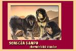 Chovatelska stanice ps�: SONGC�N GAMPO