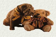 Chovatelska stanice ps�: Z DYNASTIE CHAN