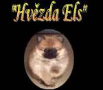 Chovatelska stanice ps�: HV�ZDA ELS